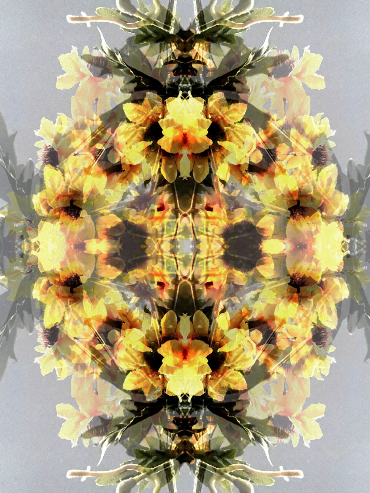 Floral kaleidoscope